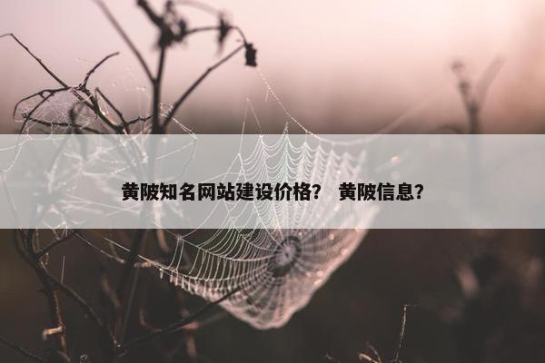黄陂知名网站建设价格？ 黄陂信息？