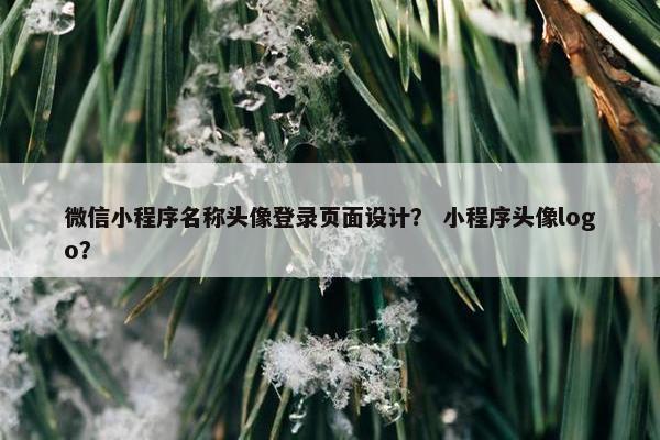 微信小程序名称头像登录页面设计？ 小程序头像logo？