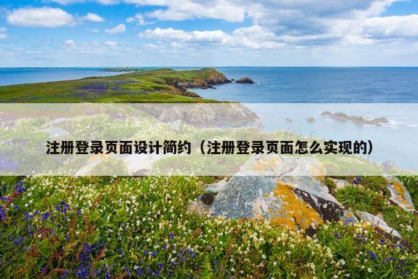 注册登录页面设计简约（注册登录页面怎么实现的）