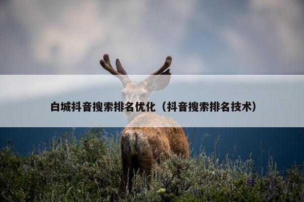 白城抖音搜索排名优化（抖音搜索排名技术）