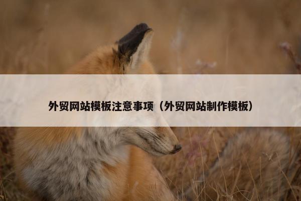 外贸网站模板注意事项（外贸网站制作模板）