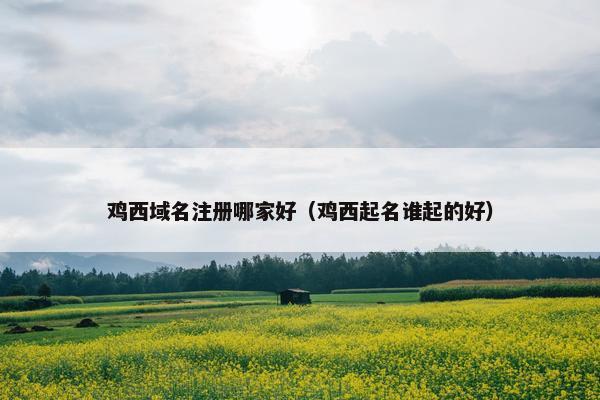 鸡西域名注册哪家好（鸡西起名谁起的好）
