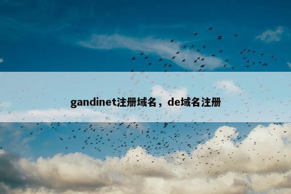 gandinet注册域名，de域名注册