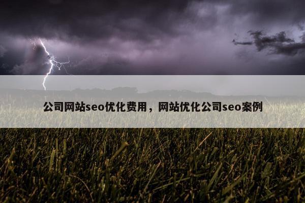 公司网站seo优化费用，网站优化公司seo案例