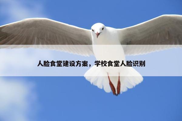 人脸食堂建设方案，学校食堂人脸识别