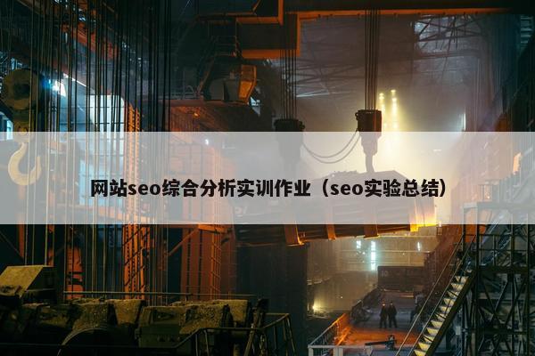 网站seo综合分析实训作业（seo实验总结）