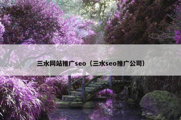 三水网站推广seo（三水seo推广公司）