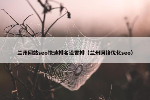 兰州网站seo快速排名设置排（兰州网络优化seo）