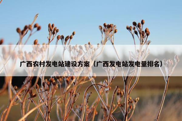 广西农村发电站建设方案（广西发电站发电量排名）