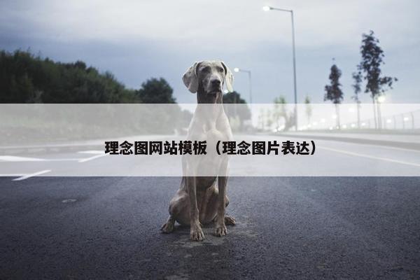 理念图网站模板（理念图片表达）