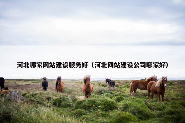 河北哪家网站建设服务好（河北网站建设公司哪家好）