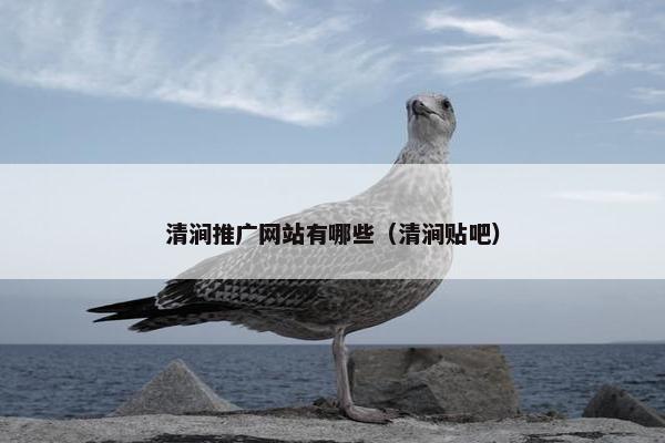 清涧推广网站有哪些（清涧贴吧）