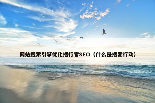 网站搜索引擎优化搜行者SEO（什么是搜索行动）