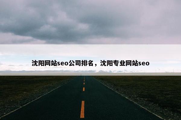 沈阳网站seo公司排名，沈阳专业网站seo