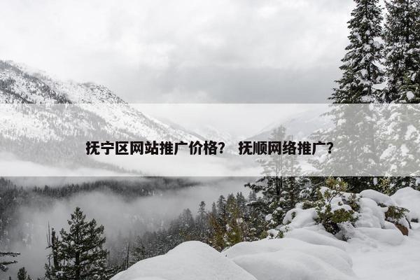 抚宁区网站推广价格？ 抚顺网络推广？