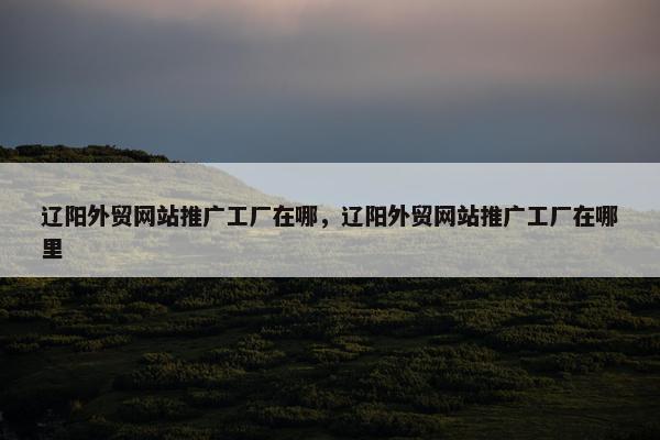 辽阳外贸网站推广工厂在哪，辽阳外贸网站推广工厂在哪里