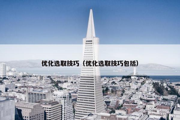 优化选取技巧（优化选取技巧包括）