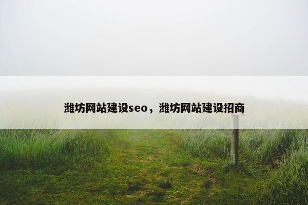 潍坊网站建设seo，潍坊网站建设招商