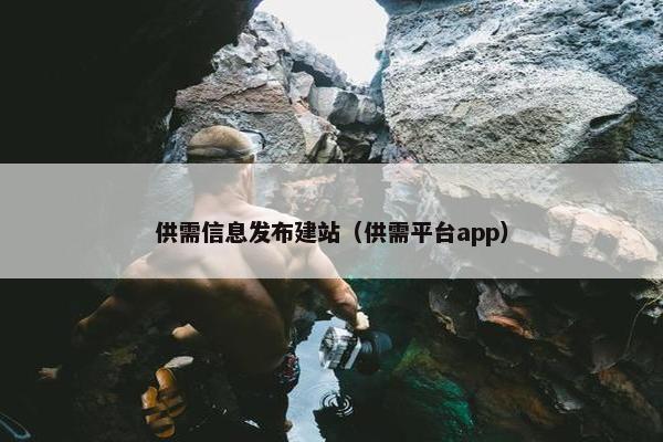 供需信息发布建站（供需平台app）