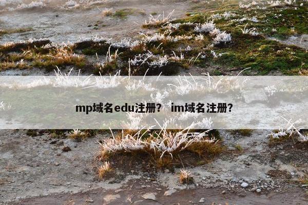 mp域名edu注册？ im域名注册？