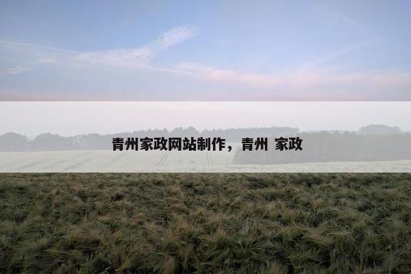 青州家政网站制作，青州 家政