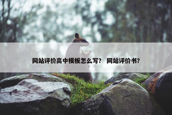 网站评价高中模板怎么写？ 网站评价书？