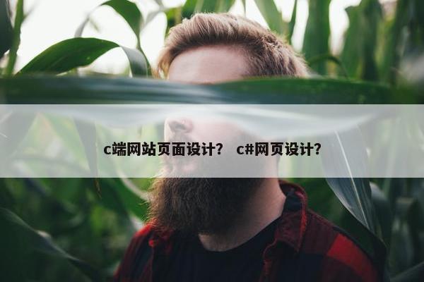 c端网站页面设计？ c#网页设计？