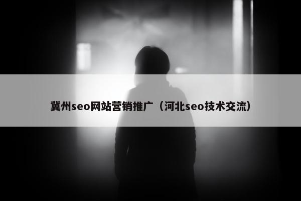 冀州seo网站营销推广（河北seo技术交流）