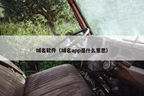 域名软件（域名app是什么意思）