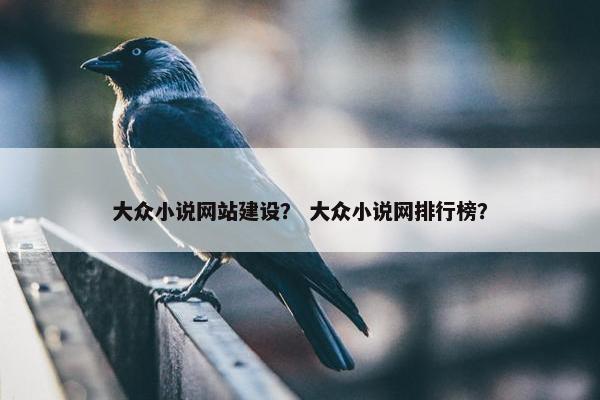 大众小说网站建设？ 大众小说网排行榜？
