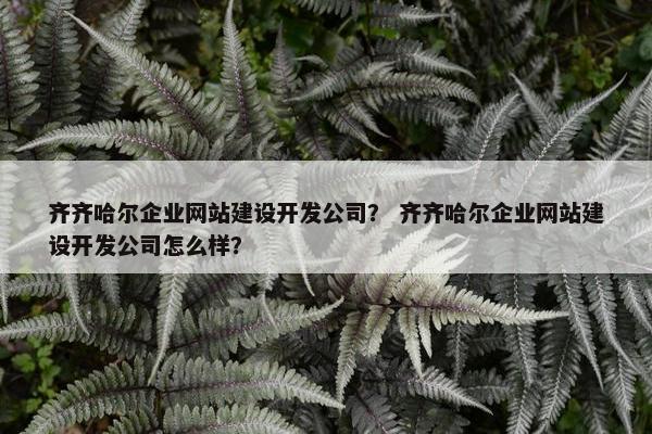 齐齐哈尔企业网站建设开发公司？ 齐齐哈尔企业网站建设开发公司怎么样？