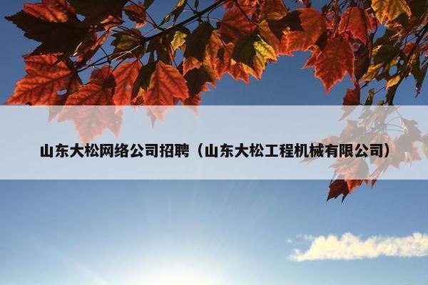 山东大松网络公司招聘（山东大松工程机械有限公司）