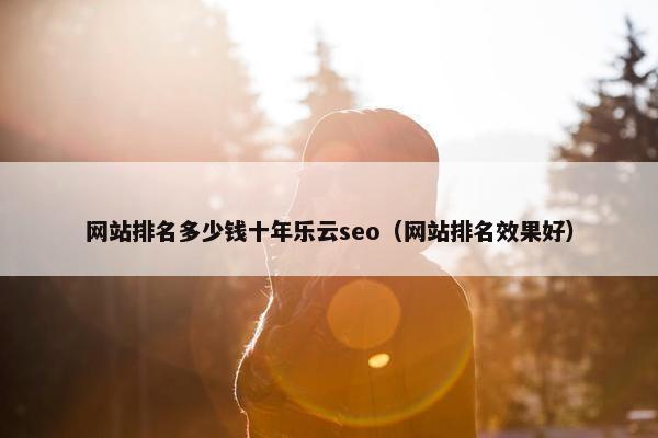 网站排名多少钱十年乐云seo（网站排名效果好）