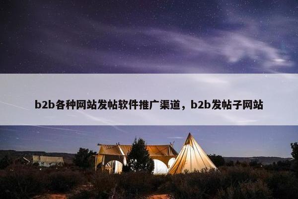 b2b各种网站发帖软件推广渠道，b2b发帖子网站