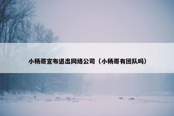 小杨哥宣布退出网络公司（小杨哥有团队吗）