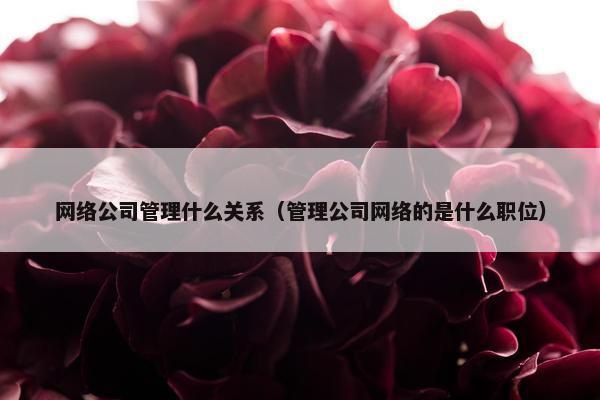 网络公司管理什么关系（管理公司网络的是什么职位）