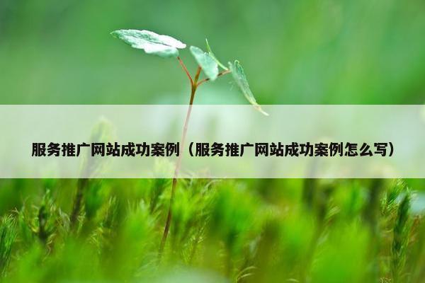 服务推广网站成功案例（服务推广网站成功案例怎么写）