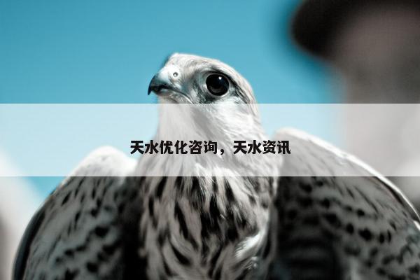 天水优化咨询，天水资讯