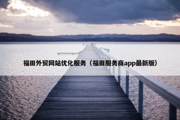 福田外贸网站优化服务（福田服务商app最新版）