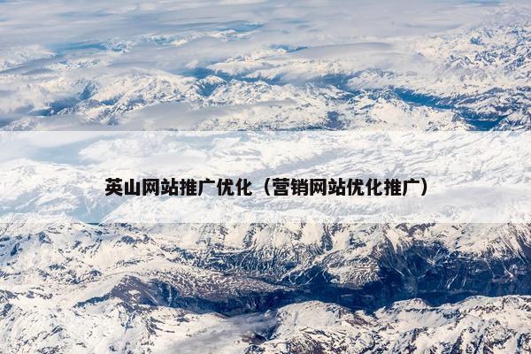 英山网站推广优化（营销网站优化推广）
