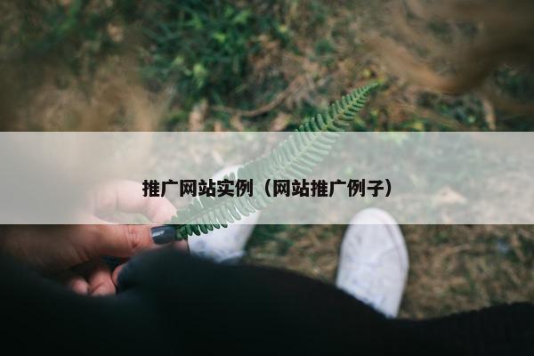 推广网站实例（网站推广例子）