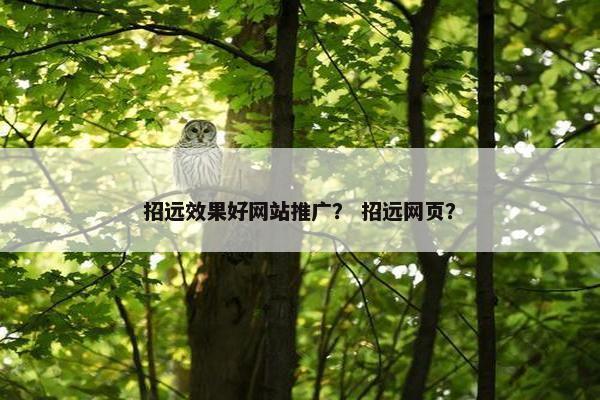 招远效果好网站推广？ 招远网页？