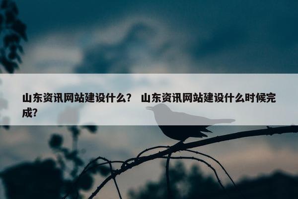 山东资讯网站建设什么？ 山东资讯网站建设什么时候完成？