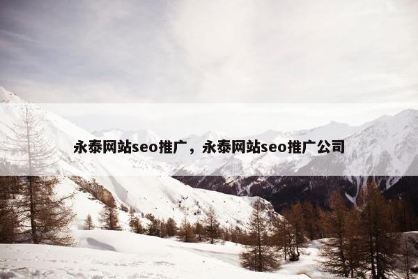永泰网站seo推广，永泰网站seo推广公司