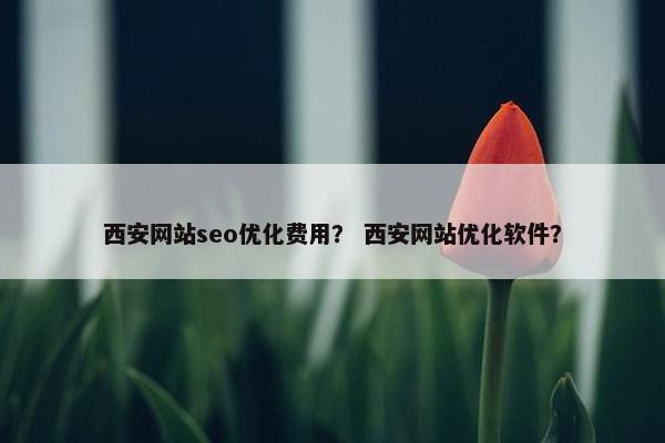 西安网站seo优化费用？ 西安网站优化软件？