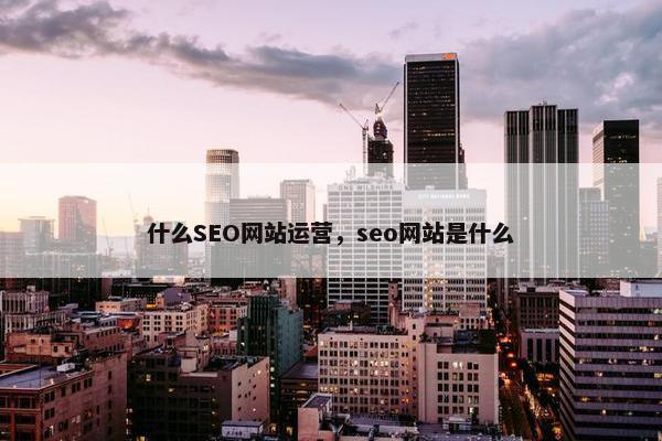 什么SEO网站运营，seo网站是什么