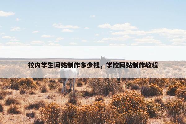 校内学生网站制作多少钱，学校网站制作教程