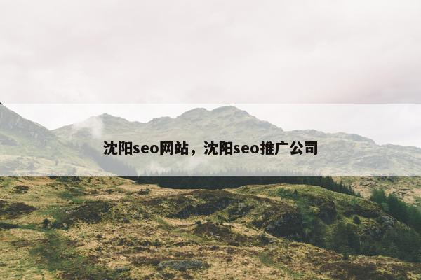 沈阳seo网站，沈阳seo推广公司