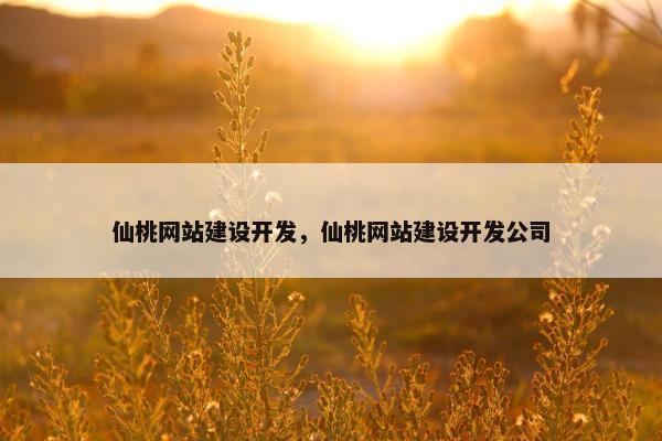 仙桃网站建设开发，仙桃网站建设开发公司