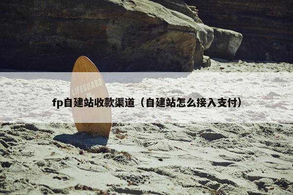 fp自建站收款渠道（自建站怎么接入支付）